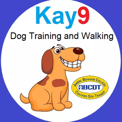 Kay9 Training and Walking