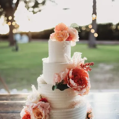 Sugared Edge Bakery
