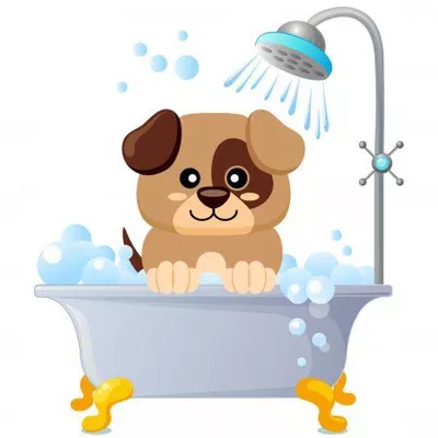 5 Stars Dog Grooming
