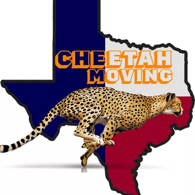 Cheetah Moving