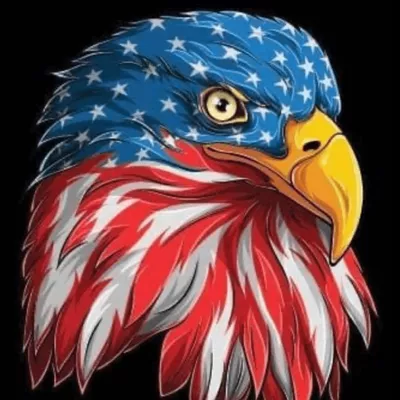 Veterans Carpet Cleaning Services