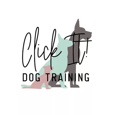 Click It! Dog Training