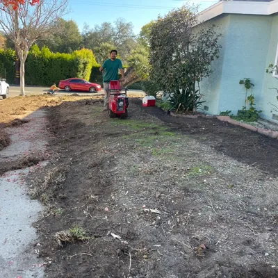 Nelson Landscape designer and care