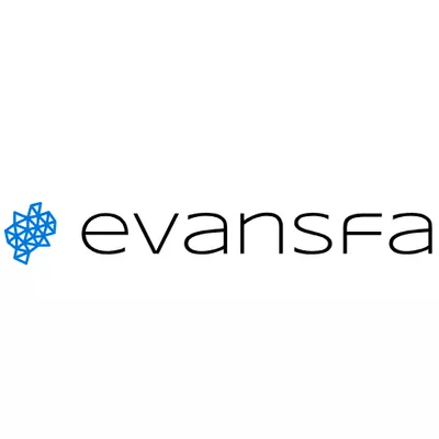 Evansfa Remote IT Solutions