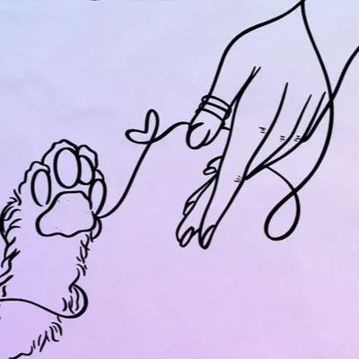 Virtuous Pet Care
