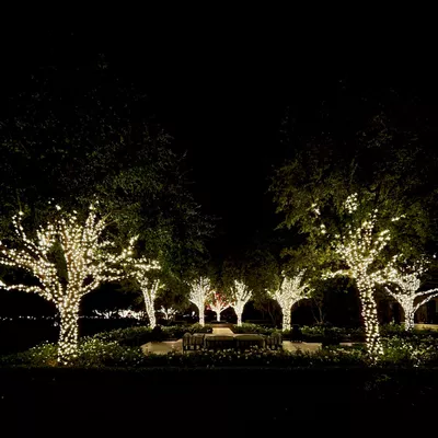 Northwest Holiday lighting