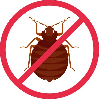 RocBedBugs
