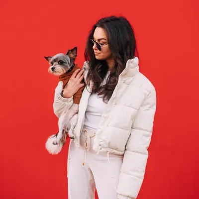 The Dog Spot ~ Luxury Pet Care