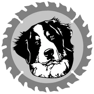 The Bernese Builder