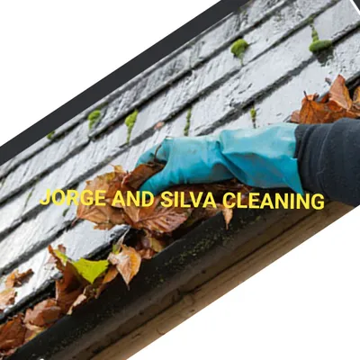 Jorge and Silva cleaning