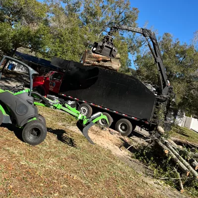 Top notch trees and land clearing LLC