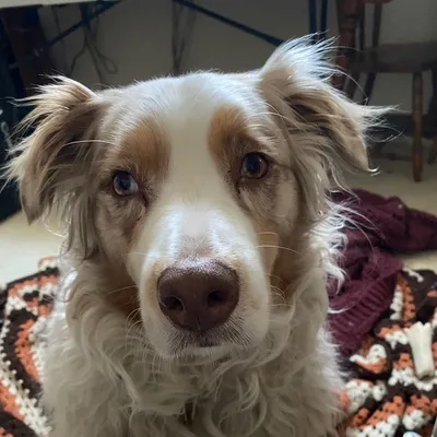 BrettandButters