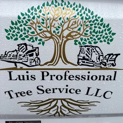 Luis professional tree service LLc