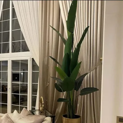 AIDA DECOR