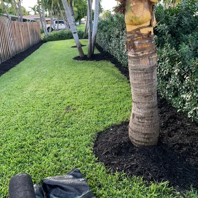 Green art lawn maintenance