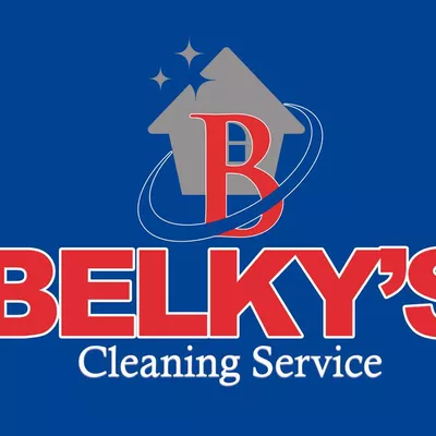 Belkyscleaning
