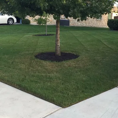 Irrigation & Lawn Ranger