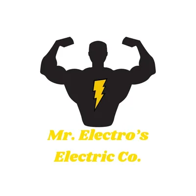 Mr electro’s electric co