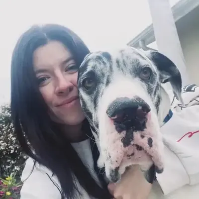 Michaela’s Petsitting