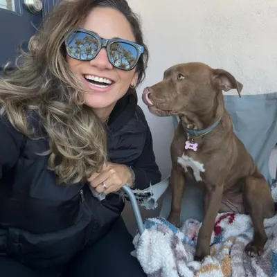 Dog care canine love