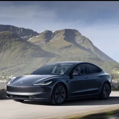 Tesla airport riders