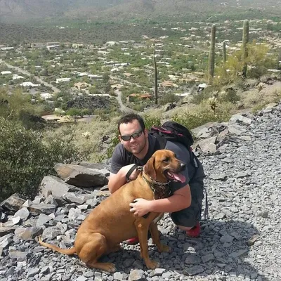 Joe's Dog Training