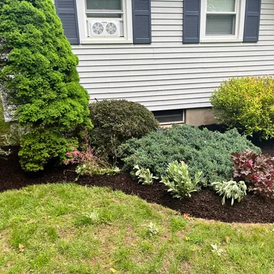 MP contractor services