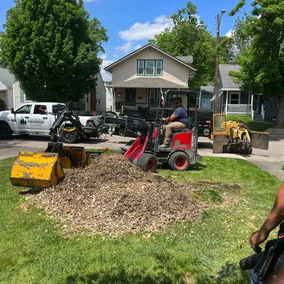 Contreras Tree Services