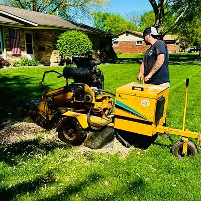 JJ’s Stump Removal and property maintenance