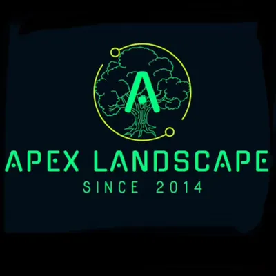 ApeX Facility Xpert’s & Landscape Corp