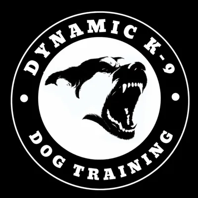 Dynamic K-9 Dog Training