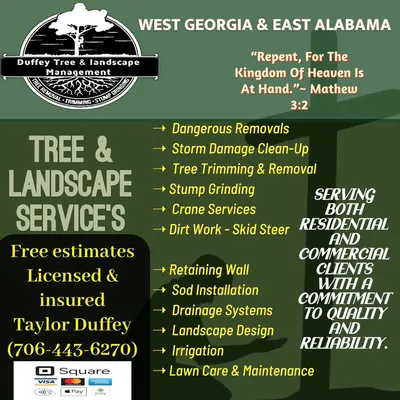 Duffey tree & landscape management