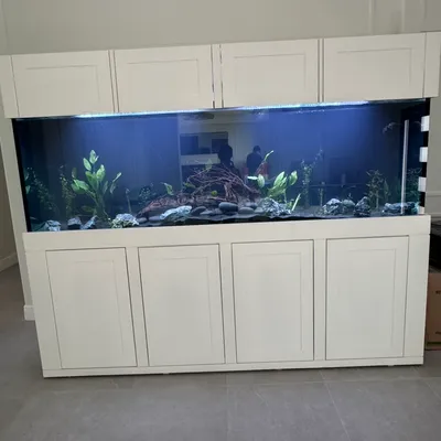 Thompson fish tank services