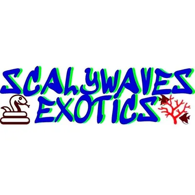 Scalywaves Exotics