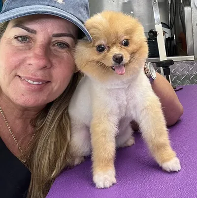 Expert Grooming PET