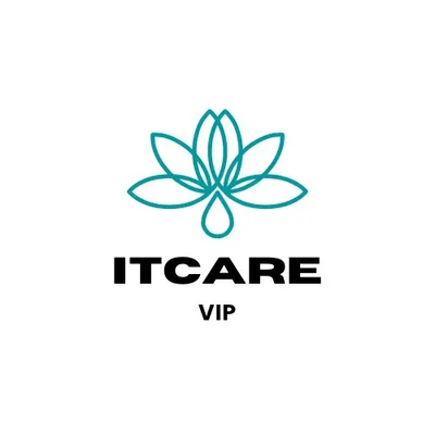 IT CARE VIP LLC