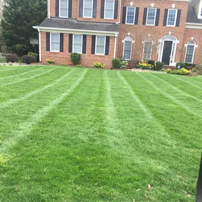 AE Landscaping cousins