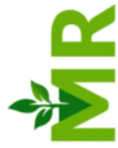 MR Landscape & Construction Inc