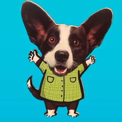 It Happens Pet Sanitation