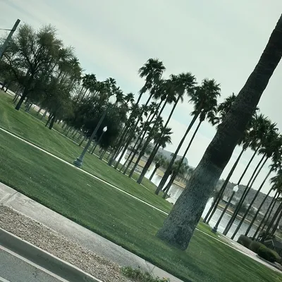 They valley irrigation