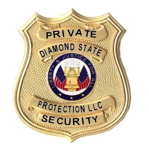 Diamond State Protection LLC