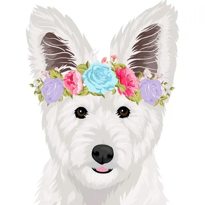 Hazy Baby Floral & Events