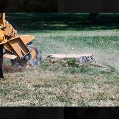 Mike Crowder stump grinding