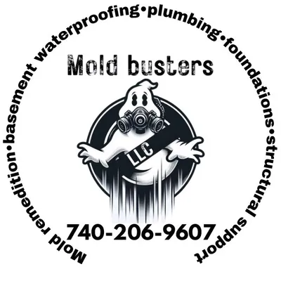 True Mold Busters llc