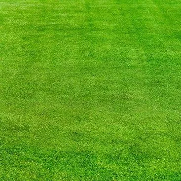 Prince Lawn Care & Landscaping