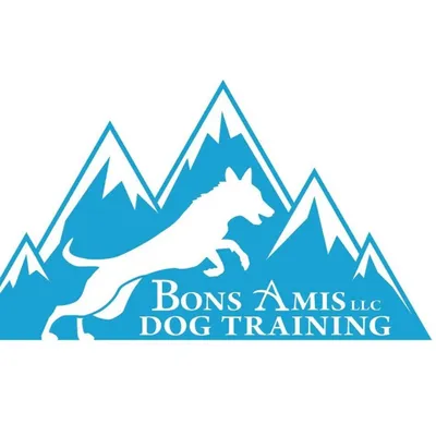Bons Amis Dog Training LLC