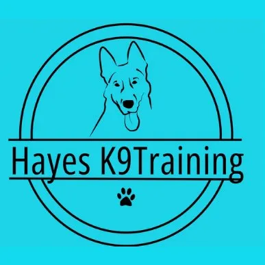 HayesK9Training