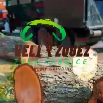 Tree services