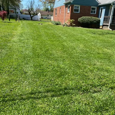 Reyes landscape and lawn