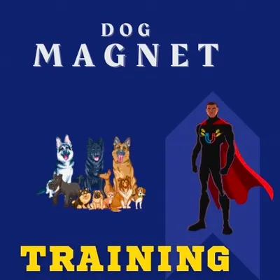 Dog Magnet Training